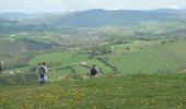 Trail Walking Lichos - CC_Velay_GB_29_Lichos_Ostabat-Asme_20090413 - Photo 5