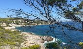 Trail Walking Capdepera - Punta de morràs - Photo 1