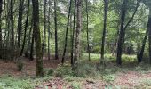 Percorso Marcia Lauroux - Le cirque de L’abeille la forêt de l’Escandorgues - Photo 1