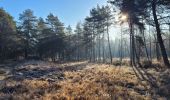 Tour Zu Fuß Fontainebleau - Boucle 28 km en forêt de Fontainebleau  - Photo 13