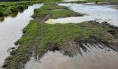 Tour Nordic Walking Vendays-Montalivet - Marais de la Perge - Photo 5