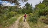 Tour Mountainbike Thorame-Basse - Camping petit cordeil Argens - Photo 7