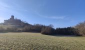 Tocht Stappen Montverdun - Randonnée autour de Montverdun - Photo 15