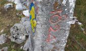 Tour Wandern Rochejean - Mont d'or  - Photo 4