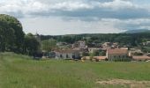 Randonnée Marche Céreste - Colline de la Gardette-Céreste-08-05-23 - Photo 4