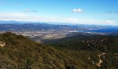 Tour Wandern Rayol-Canadel-sur-Mer - Wikiloc - Le rayon canadel - Opidum de monjean - Photo 9