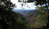 Trail Walking Steinbach - silberthal.mockenrein.mines.silberthal - Photo 1