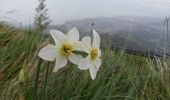 Percorso A piedi Genova - Marassi - Bavari - Monte Fasce - Photo 10