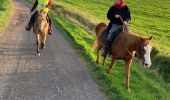 Tour Reiten Saint-Martin - Ar Reherey avec Vispa Tivio chez Marion satis  - Photo 1