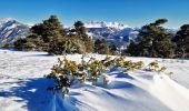 Tour Wandern La Beaume - Ranc de Chamoussière - Crête de la Longeagne - Photo 3