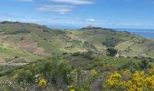 Tocht Stappen Port-Vendres - Port-Vendres - Photo 3