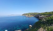 Percorso Marcia Bandol - Bandol - St Cyr par le sentier du littoral - Photo 10