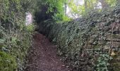 Trail Walking Comblain-au-Pont - poulseur . chanxhe . fays . monfort . poulseur - Photo 6