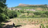 Tour Wandern Solutré-Pouilly - roche de soluté, roche de Vergisson - Photo 10