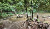 Tour Wandern Menétrux-en-Joux - cascades du hérisson- Menetrux en Joux - Photo 20