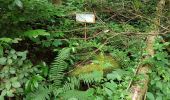 Trail Walking Champagney - Grotte prisonniers allemands - château Etobon - Etobon - Photo 15