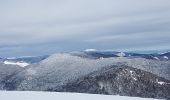 Trail Walking Lepuix - Rando raquettes Ballon d'Alsace depuis Saut de la Truite  - Photo 8