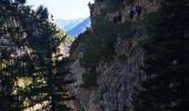 Trail Walking Prags - Braies - DOLOMITES 05 - Rifugio Dreizinnenhütte - Photo 16