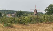 Randonnée Marche Aerschot - SGR Hageland: d'Aarschot à Wezemaal - Photo 10