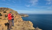 Tocht Stappen Cerbère - Cerbère Pyrénées Orientales - Photo 4