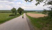 Tour Elektrofahrrad Wellin - Froidlieu-Ave-Lessive-Villers-Lavaux-Froidlieu - Photo 1