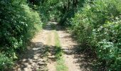 Trail Walking Bozouls - Bozouls - Photo 10