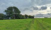 Trail Walking Modave - modave - clavier station, retour par la ligne 126 - Photo 16