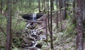 Tocht Te voet Ruhpolding - Wanderweg 66 - Hochfelln - Photo 10