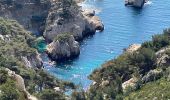 Tour Wandern Marseille - Les calanques de Cassis . Sugiton Morgiou.Sormiou - Photo 9