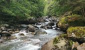 Trail Walking Cauterets - Pont d'Espagne, lac de gaube depuis cauterets  - Photo 15