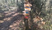 Trail Walking Flayosc - berne reconnaissance  - Photo 2