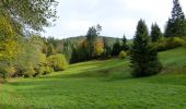 Randonnée A pied Baiersbronn - Mitteltal - Kniebis - Photo 7