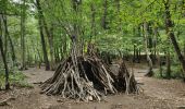 Randonnée Marche Clamart - Tour des etangs - Bois de Clamart et de Meudon - Photo 16