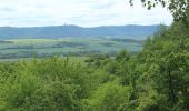 Tour Zu Fuß Sangerhausen - Kaiser-Otto-Höhenweg - Photo 2