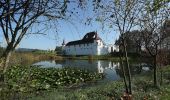 Percorso A piedi Ettiswil - Riedbruggmüli - Grosswangen - Photo 4