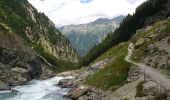 Trail On foot Innertkirchen - Schwendi - Underi Trift - Photo 10