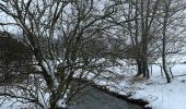 Tocht Stappen Büllingen - Honsfet - Photo 5