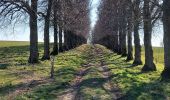 Percorso Marcia Ciney - Achene 110322 - Photo 10