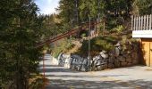Trail Nordic walking Arbaz - Forniri et retour  - Photo 2