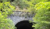 Randonnée Marche Herbeumont - Haut Chenois - Viaduc Herbeumont et points de vue  - Photo 2