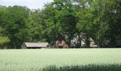 Tour Zu Fuß Hellendoorn - WNW Twente - Ligtenberg - rode route - Photo 5