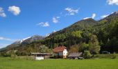 Randonnée A pied Kranjska Gora - Čičare to Srednji Vrh 19 - Photo 1