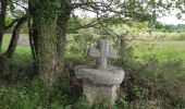 Excursión Senderismo Le Cours - GRP_Lanvaux_AG_07_Cours_Rochefort-Terre_20210514 - Photo 9