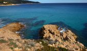 Trail Walking Ramatuelle - Bonne Terrasse - Cap Camarat - Plage de l'Escalet - Pointe de la Douane - Cap Lardier - Pointe de Brouis - Plage de Gigaro - Photo 13