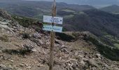 Tour Wandern Bugarach - le Pech de Bugarach - Lac de La vène - Photo 2