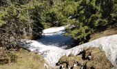 Randonnée Marche Arâches-la-Frasse - Les Carroz l'Arbaron en boucle - Photo 11