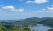 Tocht Stappen Murol - Lac Chambon dent du Marais. - Photo 1