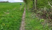 Trail Walking Andenne - Maizeret 120424  - Photo 5