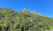 Tocht Stappen São Roque do Faial - Le chaudron vert  - Photo 18