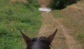 Trail Horseback riding Fronton -  trec club 1 - Photo 1